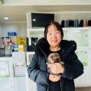 애견갤러리 강아지분양 애견샵 이미지