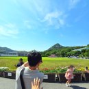 서북구청사 본관 1층 좌측 화장실 | 청와대 관람 후기 - 못했던 내부 2차 관람까지 완료 (주차는 THE 헬)