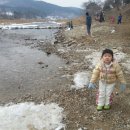 오매풀망