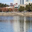 선소유적지 이미지