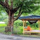 하나어린이집(승합차) 이미지