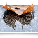 센스(Sense) 이미지