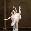 영상으로 만나는 발레<라 바야데르> | 공연 트리플빌 파키타 / 카르멘 / 5개의 탱고 후기 Dutch National Ballet | 암스테르담에서 발레 보기 💃🏼🩰