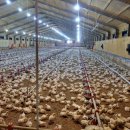 무창농장 이미지