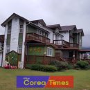 나운리조트숲속동 이미지