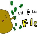 쌈짱돼지 이미지