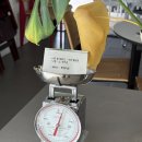 펫대디 | 경산 브런치카페 그랜드대디. 그리고, 완성형 파스타.