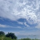 온정카서비스 | 비진도에서 여름휴가 둘째날 비진도 트래킹/ 비진도치킨