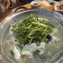 대복제2주유소 | [대복복집] 울산 복어 맛집 생밀복지리 솔직 후기