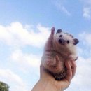 빛사랑안과의원 이미지