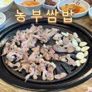 법조로 | 수원 법조타운 맛집 농부쌈밥 채소 무한리필 가족외식 후기