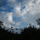CU강릉홍제삼거리점 | 백두대간 종주 #Day13 - 신의터재~비재 [S3-4]