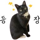 해사랑식당 이미지