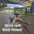 신성농장 | 코타키나발루 아이랑 가볼만한곳, 투아란 악어농장 투어