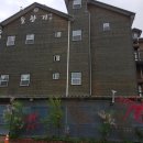 솔향기어린이집 이미지