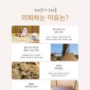 모래모래