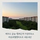제주도 협재/금능해수욕장 근처 가성비호텔 라온호텔앤리조트 2박 내돈내산