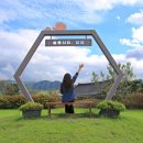 자연이만든건강밥상엄마처럼 이미지