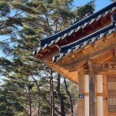 솔방마을 | 부산에서 찾은 완벽한 촌캉스, 독채 한옥에서의 힐링 '솔방한옥'