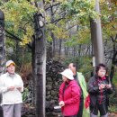 추동마을입구 | <정수병과 함께 걷는 금강 여울길(9)> 서화천 여울길엔 인정넘치고