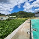 복성공인중개사사무소 이미지