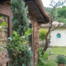 황토버섯 이미지