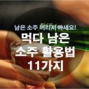 마시다만 소주 활용법11가지 이미지