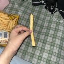 아무것도 쏟아져 내리지 않는 여름