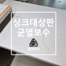 성호 샤인힐스 스포렉스 이미지