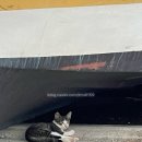 바다와등대가보이는집 이미지