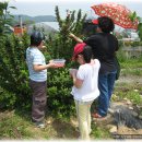 석성농장 이미지