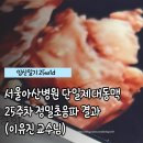 아산메디의원 | 단일제대동맥 서울아산병원 산부인과 외래 후기 | 25주 정밀초음파 결과 이유진 교수님