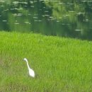 늘청춘건강원 이미지