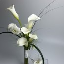 하유두인FLOWER 이미지