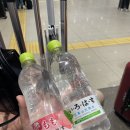 #164, 오사카 1박2일 내가 해봄 [ 일본 마실느낌 오사카여행 후기 ]