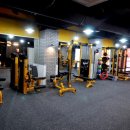 더 머슬짐 이미지