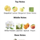 스프링 플라워 이미지