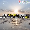 곰소바다식품