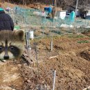 삼송농장 이미지