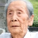 시로씨 이미지