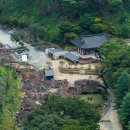 의성 고운사 산불피해지 자연복원 프로젝트 실시 이미지