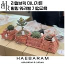 반려식물 원예화분 공예 | 리얼브릭 미니가든, 반려식물 메이킹 스트레스관리 프로그램