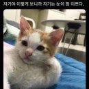 제주아방 이미지