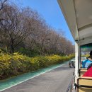 그늘막108 | 노을캠핑장 A5 맹꽁이열차 후기 캠핑 매점에서는 술을 안팔고 날씨 운이 없어용