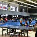 울진군민체육관 이미지