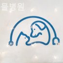 올치동물병원 | 북구 동물병원 올치동물병원 첫입원
