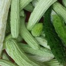 여주-0935 이미지