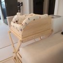 댕댕스토리 이미지