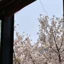 서산시골순대 이미지