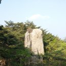 하늘재민박 이미지